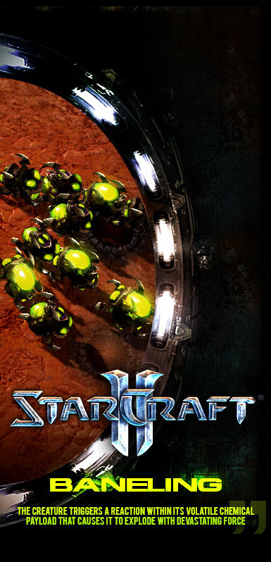 Image de la page d'accueil de Blizzard (mai 2008).